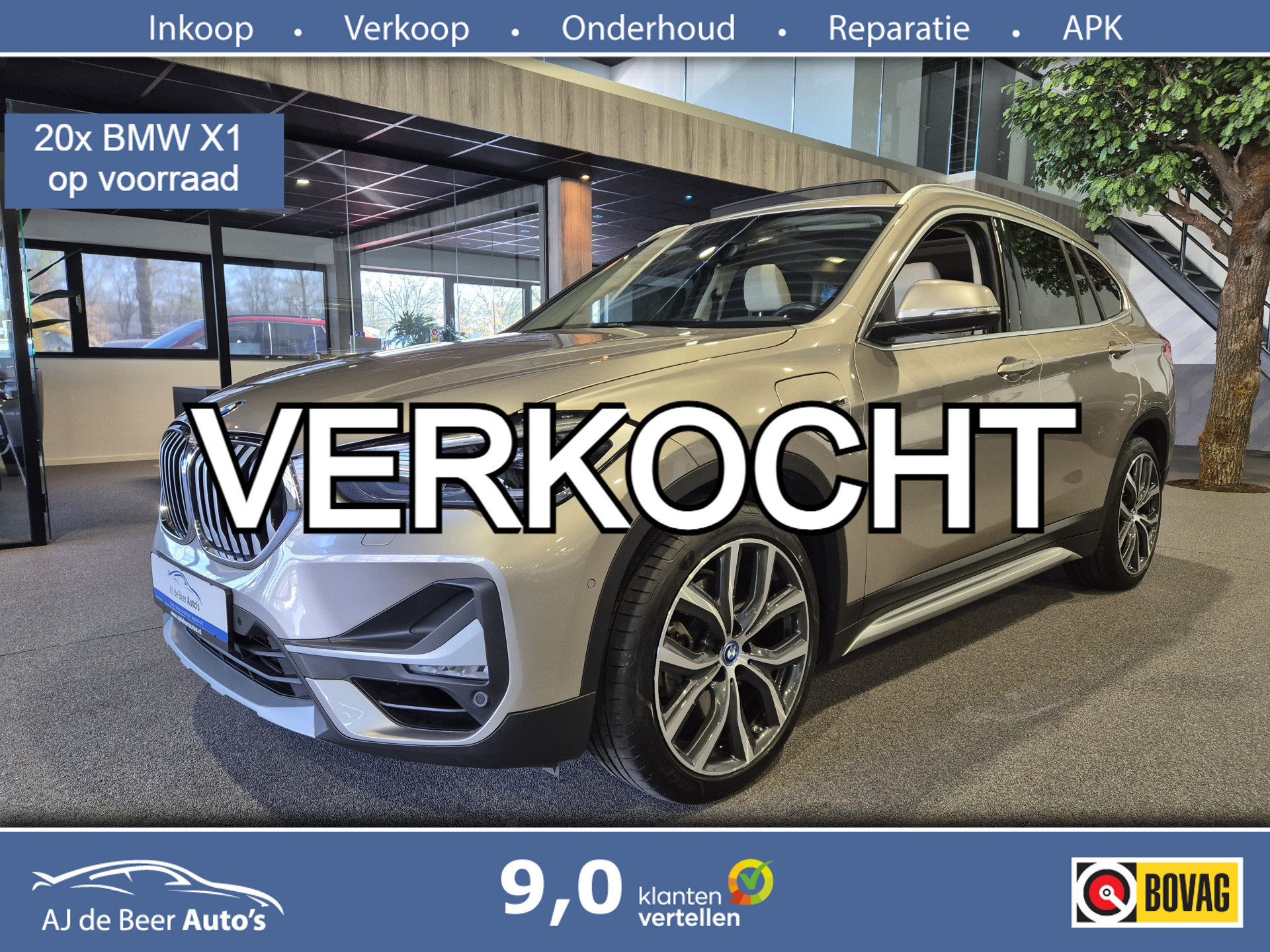 44042493
