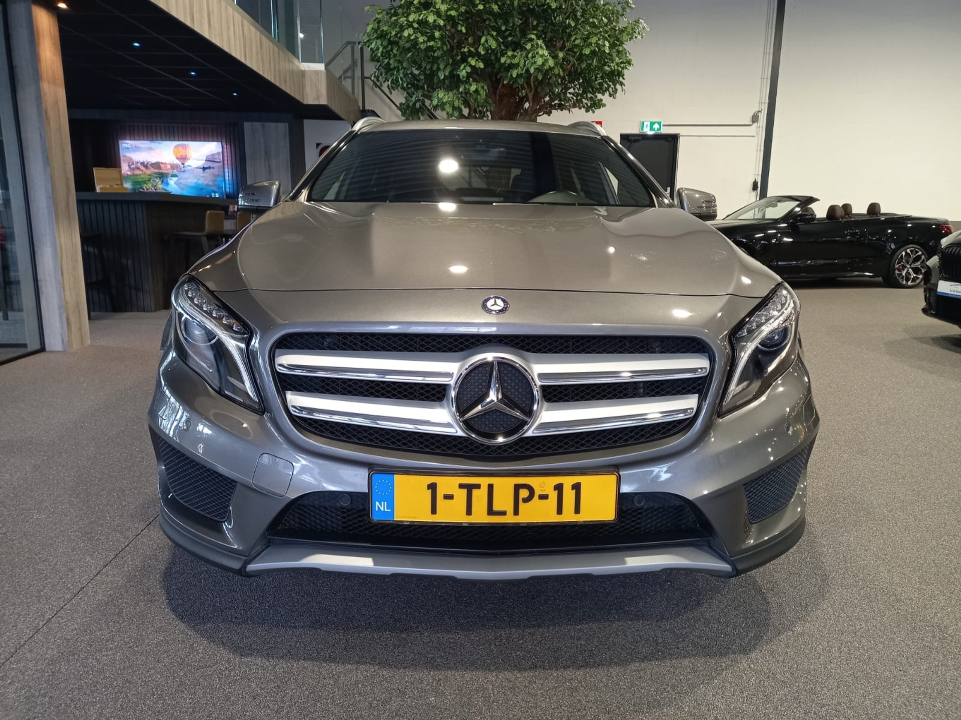 48516565-6.jpg