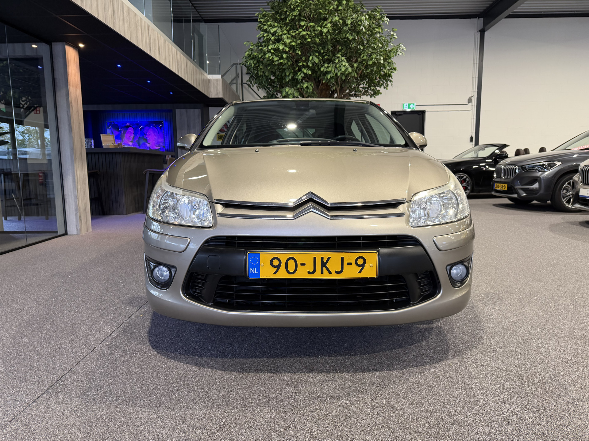 48623196-7.jpg