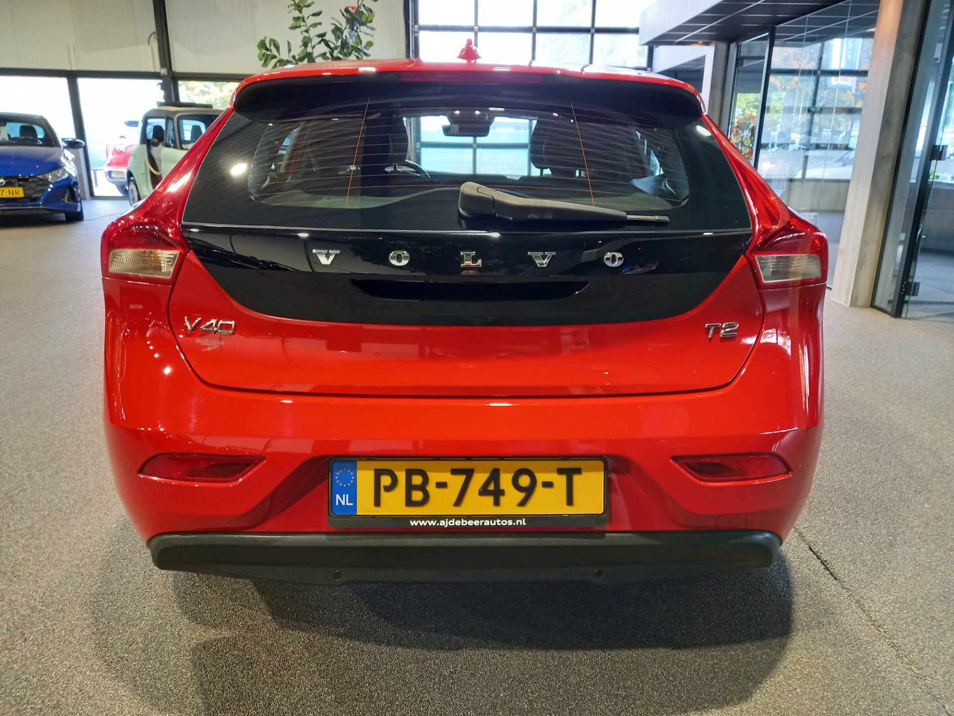 48623418-10.jpg